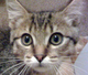 Avatar_thumb