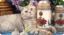 Похмельная вечеринка. Рестораны Москвы