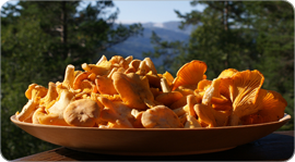 Осеннее настроение. Рестораны Москвы