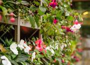 Чайхона № 1