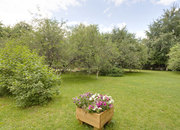 APPLE HILL
