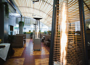 29 Park Lane в «Брайтон»