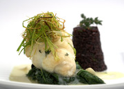 Novikov Catering Novikov Catering