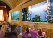 Роял Зенит II