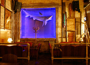 Aloha bar