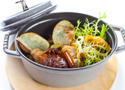 Бурый Лис и Ленивый Пес